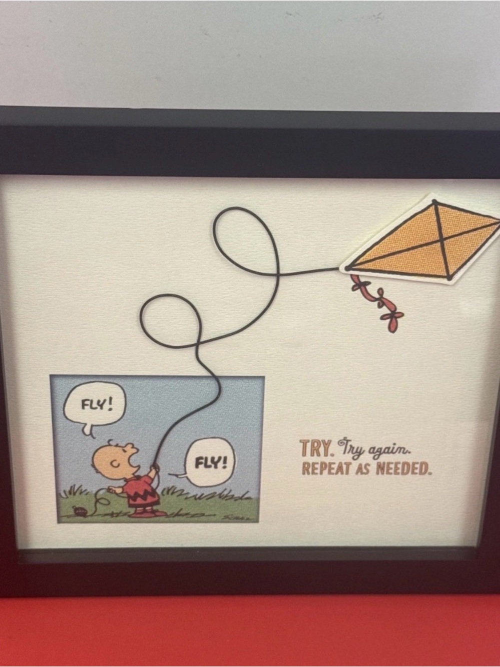 Hallmark Peanuts Wall Plaque in Black and White